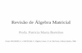 Revisão de Álgebra Matricialpmbortolon.wdfiles.com/local--files/home/Econometria_Revisao Algebra... · Revisão de Álgebra Matricial Profa. Patricia Maria Bortolon Fonte: BOLDRINI,