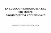 LA CUENCA HIDROGRAFICA DEL RIO LURINtrust-grow.de/.../2018/12/CFelipe-Morales_Lurin_271118.pdfLURIN (Walter Chamochumbi, 1987) Estado de Conservación Extensión (hás) Porcentaje
