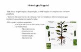 Histologia Vegetal [Modo de Compatibilidade]colegioequipe.com.br/muriae/wp-content/uploads/sites/5/...Histologia Vegetal - Estuda a organização, disposição, classificação e funções