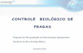 CONTROLE BIOLÓGICO DE PRAGAS - Unesp · Patógenos de largo espectro (ovos, larvas, pupas e adultos) Capacidade de disseminação horizontal Penetração via tegumento* M. anisopliae