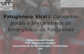 Patogênese Viral I: Conceitos gerais e Mecanismos de ...virologia.sites.uff.br/.../uploads/sites/236/...de_emergencia_de_virus.pdf · Patogênese Viral I: Conceitos gerais e Mecanismos