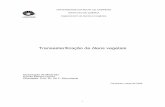 UNIVERSIDADE ESTADUAL DE CAMPINAS INSTITUTO DE …taurus.unicamp.br/.../249523/1/Garcia_CamilaMartins_M.pdf · 2018-08-06 · i Transesterificação de óleos vegetais Dissertação