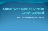 Prof. Dr. Vander Ferreira de Andrade · Introdução ao Direito Constitucional Direito Público Fundamental Constitucionalização do Direito Princípio-Matriz (Dignidade da Pessoa