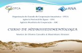 CURSO DE HIDROSSEDIMENTOLOGIAcapacitacao.ana.gov.br/conhecerh/bitstream/ana/1301/5... · 2019-06-24 · CURSO DE HIDROSSEDIMENTOLOGIA Organização do Tratado de Cooperação Amazônica