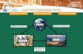 4º Bimestre 2018 - Colégio Teresiano · El bimestre anterior hablaste sobre los viajes - que pueden ser de diferentes tipos y a variadísimos lugares –además de conocer más