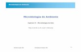 Microbiologia do Ambiente - ULisboamaloucao/Aula 4.pdf · Microbiologia do Ambiente Sucessão de Fungos no Solo Parasitas Saprófitas primários, hidratos de C (mucorales) Decompositores