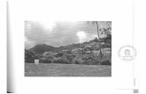 Foto 4 Comuna Olivares - Universidad Nacional De Colombia1)_Parte5.pdf · 2012-02-27 · sólidos de la ciudad, hace referencia al problema de contaminación por basura, que es una