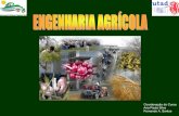 Coordenação do Curso: Ana Paula Silva Fernando A. Santos•Gestor de Empresas Agrícolas e Empresário Agrícola •Técnico Superior de Empresas Agroalimentares e Agroquímicas