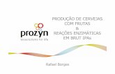 PROZYN –RESUMO DA COMPANHIARESUMO DA COMPANHIA Especializada na aplicação de enzimas e outros bio-ingredientes 30 anos de experiência no Brasil e na América Latina Mais de 2000