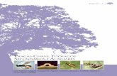 P C F S A fitófagos.pdf · O principal factor de dispersão desta praga é a troca de 116 como fazendo parte da entomocenose do castanheiro as espécies que foram colhidas com métodos
