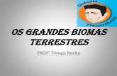 Os Grandes Biomas Terrestresursula.com.br/arquivos/arquivo_1375879044.pdf · biomas, considerados semidesertos. No Brasil apesar de não estar localizada nas margens dos grandes desertos,