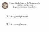 Universidade*Federal*do*Rio*de*Janeiro* Ins1tuto*de ...bioinfo.iq.ufrj.br/graduacao/EF/slides/aula 9 BqEF.pdf · É o substrato para a biossíntese do glicogênio no fígado e no