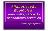 Alfabetização Ecológica SP 2006 resumidoarquivo.ambiente.sp.gov.br/cea/2011/12/Ellen2.pdf · • circulação contínua de matériamatéria • produção constante de ... •move