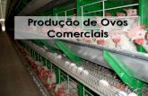 Produção de Ovos Comerciais - Unesp · 2013-05-15 · Dados comparativo entre duas linhagens Característica Lohmann LSL Hy-Line Brown Produção de ovos Idade a 50% prod 140 –