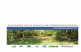 PLANO DE MANEJO DA ESTAÇÃO ECOLÓGICA DE AVARÉ · projetos prioritários de gestão da Unidade de Conservação, em conformidade com as características, objetivos e regramentos
