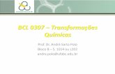 BCL 0307 Transformações Químicaspesquisa.ufabc.edu.br/pologroup/TQ/aula01.pdf · (e a diversificação das espécies), com o meio ambiente, com a indústria e com a sociedade.