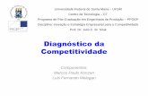 Diagnóstico da Competitividadew3.ufsm.br/proplan/images/stories/file/Outros/DIAGNOSTICO_COMPETITIVI... · Diagnóstico da Competitividade Componentes: Marcos Paulo Konzen Luis Fernando
