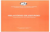 Relatório de Estágiobdigital.ipg.pt/dspace/bitstream/10314/3077/1/Tiago Ferreirinha_ 1008780.pdf · Cosimpor, Importação e Comércio Automóvel, SA., para a realização de um
