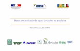 SEMINÁRIO FRANCO-BRASILEIRO SOBRE TRATAMENTO …agritrop.cirad.fr/554544/1/document_554544.pdf · 2015-05-29 · Exemplo de resultados em função do tipo de biomassa : madeira ou