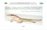 (Squamata: Gekkonidae) em área de Caatinga, com avaliação da … · 2019-02-08 · ii Verso da página ii (Catalogação) UFRN / Biblioteca Central Zila Mamede Catalogação da