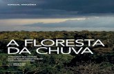 A florestA dA chuvA - Revista Pesquisa Fapesp · 20 | novembro De 2019 S e 60% da Amazônia é brasileira e 40% de outros oito países, por que o mundo deveria se preocupar com o