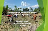Sustentabilidade Ambiental e Trabalho Digno na Agricultura · • Segurança e saúde na agricultura. Código de boas práticas (2010) • Resolução sobre o desenvolvimento sustentável,