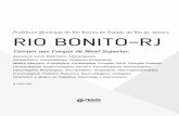 Prefeitura Municipal de Rio Bonito do Estado do Rio de ... · Prefeitura Municipal de Rio Bonito do Estado do Rio de Janeiro Comum aos Cargos de Nível Superior Edital de Concurso