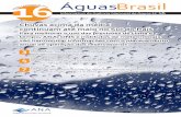 Chuvas acima da média continuam até maio no Sul do Paísarquivos.ana.gov.br/imprensa/publicacoes/AguasBrasil/AguasBrasil16... · 6 Informativo da Agência Nacional de Águas No