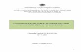 Chamada Pública nº01-2011 - INCRA · Decreto 7.215/2010, a Superintendência Regional do INCRA no Distrito Federal e Entorno – SR (28), no contexto de uma proposta de desenvolvimento
