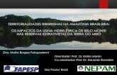 TERRITORIALIDADES RIBEIRINHAS NA AMAZÔNIA …fapesp.br/eventos/2019/12967/09h30-Maira-Fainguelernt.pdfrepresentantes do MPF, IBAMA e ICMBio •Participação em evento do ISA: Xingu