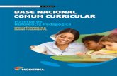 Educação InfantIl E EnsIno fundamEntal · homologada pelo Conselho Nacional de Educação (CNE) a Base Nacional Comum Curricular (BNCC) para a Educação Infantil e para o Ensino