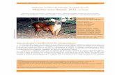 Avaliação do Risco de Extinção do Veado-bororó …Veado-bororó – Mazama nana pág. 3 Biodiversidade Brasileira (2012) Ano II, Nº 1, 3-11 Apresentação e justificativa de