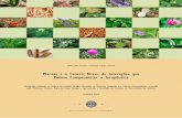 Plantas e o Cancro: Riscos de Interações que Podem ... Franca.pdf · para outros tecidos e órgãos. É através do fluxo sanguíneo que o tumor recebe oxigénio e nutrientes para
