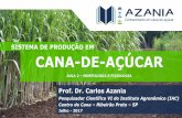 SISTEMA DE PRODUÇÃO EM CANA-DE-AÇÚCAR · Fisiologia da cana-de-açúcar Fases do crescimento desenvolvimento vegetativo maturação florescimento perfilhamento crescimento colmos