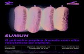 SUMUN - SementibridaSUMUN O primeiro pepino francês com alta resistência ao oídium. Excelente Produção Óptimo resultado em condições de frio Para cultivos em estufa e ar livre
