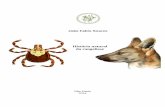 História natural da rangeliose - USP · SOARES, J. F. Natural history of rangeliosis [História natural da rangeliose] 2014. 121 f. Tese (Doutorado em Ciências) – Faculdade de