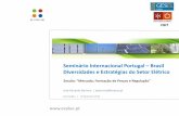 Seminário Internacional Portugal Brasil …sipb.dps.uminho.pt/.../Jose_Eduardo_Barroso.pdfUm limite ou tecto absoluto (cap) de emissões de CO 2 foi estabelecido para um universo
