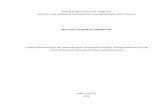 Dissertação Moysés Simantob©s-mestrado.pdf · moysÉs alberto simantob caracterizaÇÃo de processos sistemÁticos e assistemÁticos de inovaÇÃo em organizaÇÕes brasileiras
