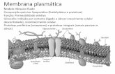 Membrana plasmática - Wbiowbio.com.br/wp-content/uploads/2016/08/Aula-UniEva.pdf · Doença Bactéria Transmissão Sintoma Vacina Tétano Clostridium TetaniFerimentos Bacilo e esporos