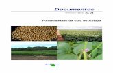 Documentos ISSN 1517-4859 Dezembro, 2004 54 · Complexo agro-Industrial da soja, número de empregos O complexo agroindustrial da soja, tão difamada, tem gerado no Brasil, cerca