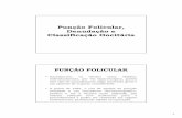 Punção Folicular, Denudação e Classificação Oocitáriasapientiae.org.br/arq_pos/1280.pdf · 1 Punção Folicular, Denudação e Classificação Oocitária PUNÇÃO FOLICULAR