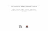 Selvas Secas del Pacífico de México...Primera edición, 2010 Diversidad, amenazas y áreas prioritarias para la conservación de las selvas secas del Pacífico de México Coordinación