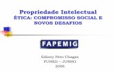 A Proteção da Propriedade Intelectual · Discussão e impactos da proteção de fármacos Gama Cerqueira, Tratado, 2a. Ed. Vol. 1, pag. 349: "As invenções de novos produtos químicos,