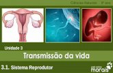 Unidade 3 Transmissão da vida - José Carlos Moraisjcmorais.com/documentos/CN9_Sistema_Reprodutor.pdf(obesidade, diabetes mellitus), além de melhorar o desenvolvimento mental do