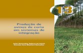Produção de ovinos de corte em sistemas de integração · o custo de produção ao valor pago pelo produto comercializado (REIS, 2011). Sistemas de produção de ovinos de corte