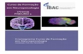 Curso de Formação em Neuropsicologia FNEURO 1 2019 Módulo …§ão-em... · MAIO 02/05 Neuroanatomia A estrutura da medula, anatomia vascular cerebral, meninge e ventrículos,