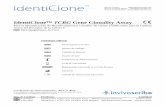 IdentiClone TCRG Gene Clonality AssayMonitorizar y evaluar recurrencias de la enfermedad 3. Resumen y descripción del ensayo Los reordenamientos de los genes que codifican los receptores