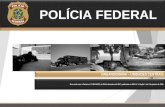 POLÍCIA FEDERAL · POLÍCIA FEDERAL ORGANOGRAMA –UNIDADES CENTRAIS De acordo com a Portaria nº 1.252-MJSP, de 29 de dezembro de 2017, publicada no DOU nº 1, Seção 1, de 2 de