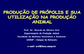 PRODUÇÃO DE PRÓPOLIS E SUA UTILIZAÇÃO NA ...PRODUÇÃO DE PRÓPOLIS E SUA UTILIZAÇÃO NA PRODUÇÃO ANIMAL Prof. Dr. Ricardo de Oliveira Orsi Departamento de Produção Animal