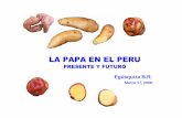 Papa En EL Peru - PSI · 2008-08-14 · Achira Canna edulis 2. Ajipa Pachyrrhizus tuberosus 3. Arracacha ... Discontinuidad en la solidez de la organización de productores ... Exportación